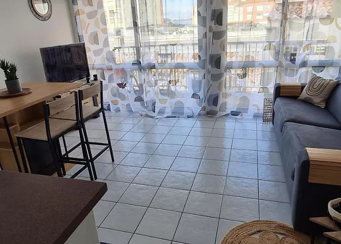 Climatisé Vue à 100m Du Môle * Agde